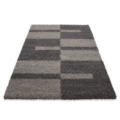 Ayyildiz vaip Shaggy Gala Taupe 2505, 200x290 cm цена и информация | Ковры | kaup24.ee