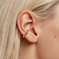 PDPAOLA Ebatavalised kullatud kõrvarõngad tsirkoonidega ZOE Gold AR01-290-U hind ja info | Kõrvarõngad | kaup24.ee