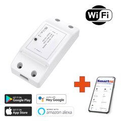 Smart Switch Wi-Fi цена и информация | Выключатели, розетки | kaup24.ee