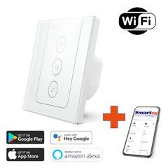 Smart Wall Light Switch RF Wi-Fi цена и информация | Выключатели, розетки | kaup24.ee