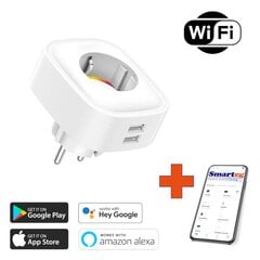 Умная розетка 2xUSB Wi-Fi цена и информация | Выключатели, розетки | kaup24.ee