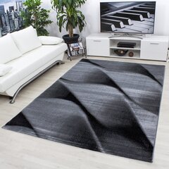 Vaip Ayyildiz Parma 9240, 80x300 cm цена и информация | Ковры | kaup24.ee