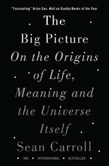 Big Picture: On the Origins of Life, Meaning, and the Universe Itself цена и информация | Книги по экономике | kaup24.ee