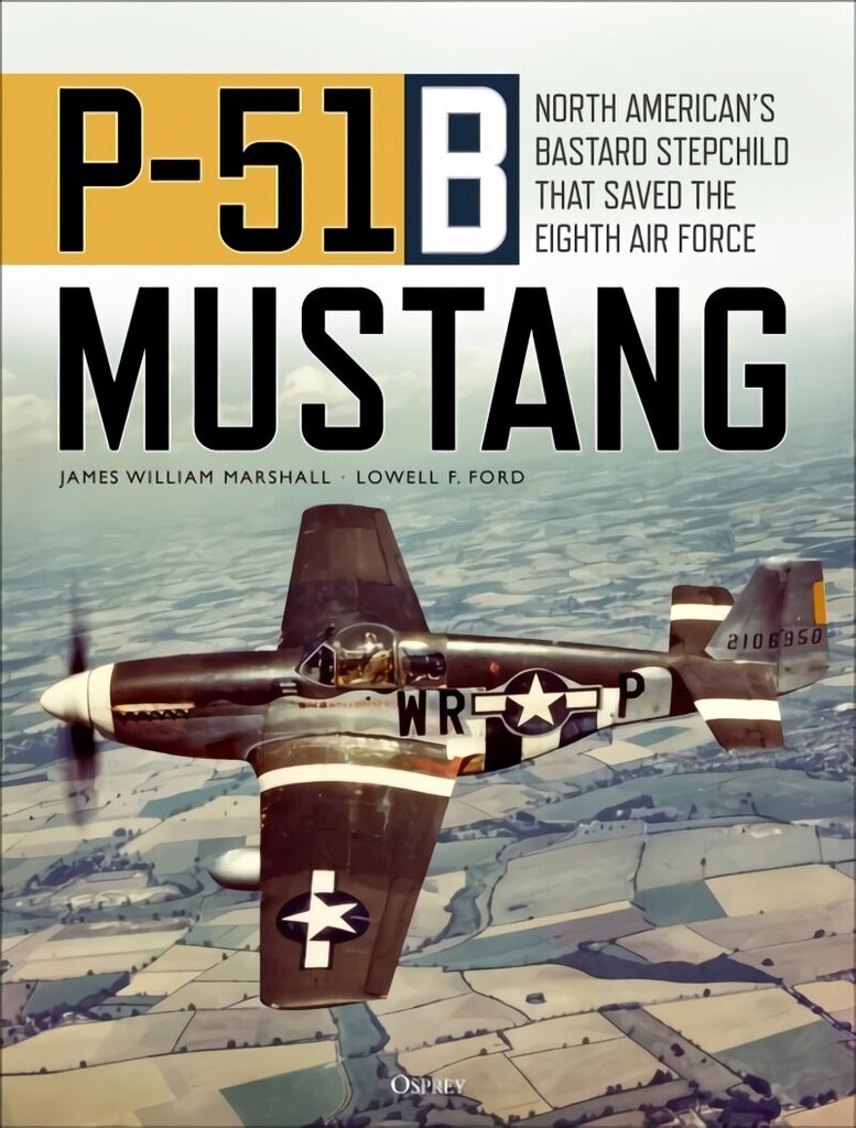 P-51B Mustang: North American's Bastard Stepchild that Saved the Eighth Air Force цена и информация | Ühiskonnateemalised raamatud | kaup24.ee