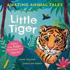 Amazing Animal Tales: Little Tiger 1 hind ja info | Väikelaste raamatud | kaup24.ee