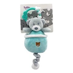 Rattlesnake 13 cm, türkiissinine hind ja info | Imikute mänguasjad | kaup24.ee