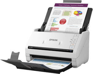 Epson WorkForce DS-780N / цветной цена и информация | Сканеры | kaup24.ee