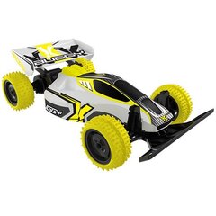 Puldiauto Exost Buggy Racing 1:18, 1 tk hind ja info | Exost Mänguasjad | kaup24.ee