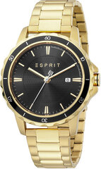 Esprit Ветер ES1L239M0055 цена и информация | Мужские часы | kaup24.ee