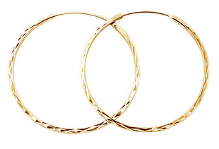 Модные позолоченные круглые серьги из серебра Beneto AGUC2439 / SCS-GOLD цена и информация | Серьги | kaup24.ee
