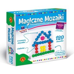 Alexander Maagilised mosaiigid, loovus ja haridus 120 цена и информация | Развивающие игрушки | kaup24.ee