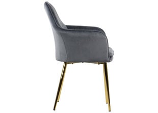 Комплект из 2 обеденных стульев STM, серый цвет цена и информация | Стулья для кухни и столовой | kaup24.ee