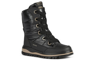 Водонепроницаемые зимние ботинки Geox Amphibiox, черные 1143739 цена и информация | Детские туфли | kaup24.ee