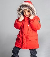 Laste talveparka Lenne 330g Snow 22341*622, punane 4741593137075 цена и информация | Куртки для мальчиков | kaup24.ee