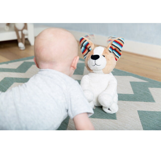 Interaktiivne mänguasi "Peek-a-boo" kutsikas Danny (0+ kuud) hind ja info | Imikute mänguasjad | kaup24.ee