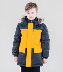Lenne куртка для мальчика 250g Rich 22342*456, оранжевый/черный 4741593137396 цена и информация | Куртки для мальчиков | kaup24.ee