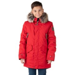 Lenne детская парка 250г Revor 22369 A*622, красный 4741593147111 цена и информация | Куртки для мальчиков | kaup24.ee