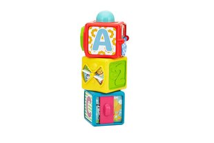 Arendavad klotsid Fisher Price hind ja info | Imikute mänguasjad | kaup24.ee