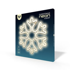 Neoon Led jõululumehelves, valge, Patareid + USB FLNE20 hind ja info | Seinavalgustid | kaup24.ee