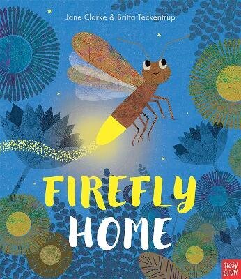 Firefly Home цена и информация | Väikelaste raamatud | kaup24.ee