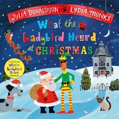What the Ladybird Heard at Christmas hind ja info | Väikelaste raamatud | kaup24.ee