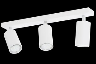 Lampex потолочная лампа Rolos 3 цена и информация | Потолочные светильники | kaup24.ee