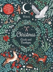 Christmas Cards and Envelopes цена и информация | Книги для малышей | kaup24.ee