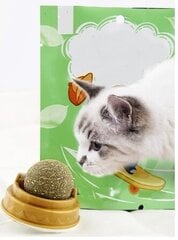 Игрушка для облизывания - мячик для кота с кошачьей мятой цена и информация | Игрушка для кошек | kaup24.ee