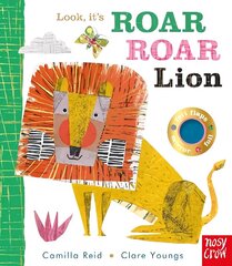 Look, it's Roar Roar Lion цена и информация | Книги для малышей | kaup24.ee