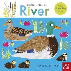 Animal Families: River цена и информация | Книги для малышей | kaup24.ee