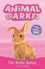 Animal Ark, New 4: The Magic Bunny: Special 4 цена и информация | Книги для подростков и молодежи | kaup24.ee