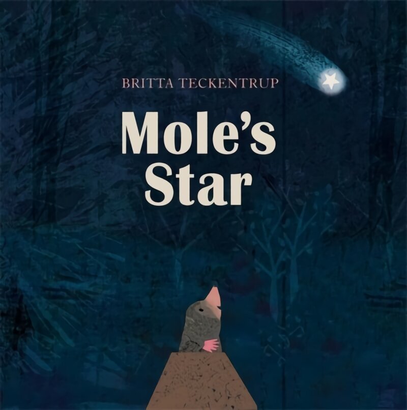 Mole's Star hind ja info | Väikelaste raamatud | kaup24.ee