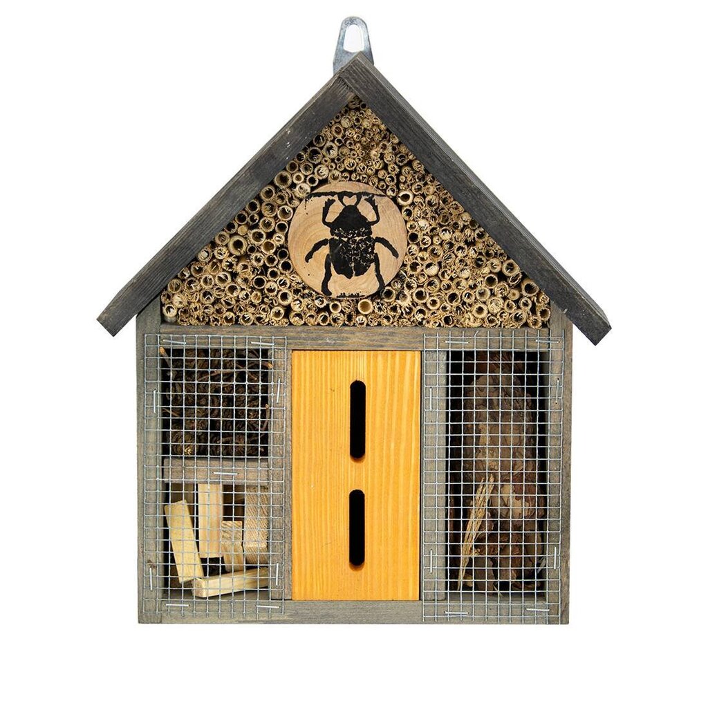 4IQ putukamaja Sipelgas hind ja info | Pesakastid, söötjad ja puurid | kaup24.ee