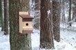 4IQ puidust pesa lindudele Päkapikk цена и информация | Pesakastid, söötjad ja puurid | kaup24.ee