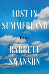 Lost In Summerland: Essays цена и информация | Книги по социальным наукам | kaup24.ee