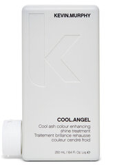 Кондиционер пепельного оттенка для обесцвеченных волос Kevin Murphy Cool Angel, 250 мл цена и информация | Бальзамы, кондиционеры | kaup24.ee