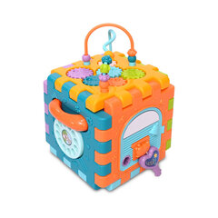 Игрушка Lorelli Куб 6 сторон+4 формочки цена и информация | Развивающие игрушки | kaup24.ee