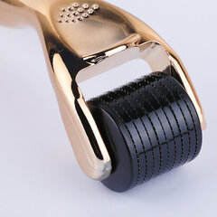 Ролик с микроиглами для лица Single Microneedle Roller Golden Handle цена и информация | Массажеры для лица, инструменты для чистки лица | kaup24.ee