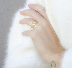 Открытое позолоченное кольцо с оригинальным дизайном Beneto AGG468-G цена и информация | Кольцо | kaup24.ee