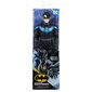 Kuju Nightwing Batman (Batman) DC, 30 cm цена и информация | Poiste mänguasjad | kaup24.ee