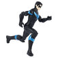 Kuju Nightwing Batman (Batman) DC, 30 cm hind ja info | Poiste mänguasjad | kaup24.ee