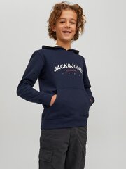 Детская толстовка Jack & Jones 12220968*03 5715324549733, тёмно-синяя цена и информация | Свитеры, жилетки, пиджаки для мальчиков | kaup24.ee