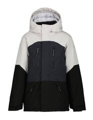 Детская куртка Icepeak Lucka 180 г 50029-2*220 6438522710888, светло-серая/черная цена и информация | Куртки для мальчиков | kaup24.ee