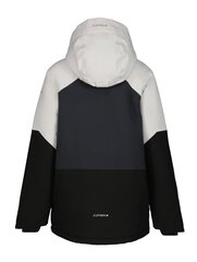 Детская куртка Icepeak Lucka 180 г 50029-2*220 6438522710888, светло-серая/черная цена и информация | Куртки для мальчиков | kaup24.ee