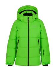 Детская куртка Icepeak Louin 300 г 50035-2*540 6438522711151, зелёная цена и информация | Куртки для мальчиков | kaup24.ee