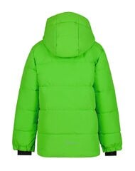 Детская куртка Icepeak Louin 300 г 50035-2*540 6438522711151, зелёная цена и информация | Куртки для мальчиков | kaup24.ee