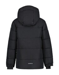 Детская куртка Icepeak Louin 300 г 50035-2*990 6438522711304, черная цена и информация | Куртки для мальчиков | kaup24.ee