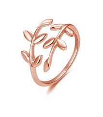 Открытое бронзовое кольцо с оригинальным дизайном Beneto AGG468-RG цена и информация | Кольцо | kaup24.ee