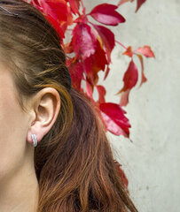 Beneto Moodsad hõbedased kõrvarõngad läbipaistvate tsirkoonidega AGUP2261 hind ja info | Kõrvarõngad | kaup24.ee