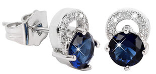 Troli Kaunid sädelevad siniste kristallidega kõrvarõngad hind ja info | Kõrvarõngad | kaup24.ee